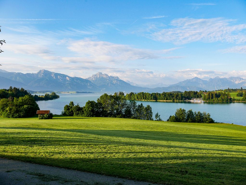 Der Forggensee - Außerhalb der öffentlichen Badestellen könnt Ihr Eure Hunde gern schwimmen lassen.  - © alpintreff.de - Christian Schön